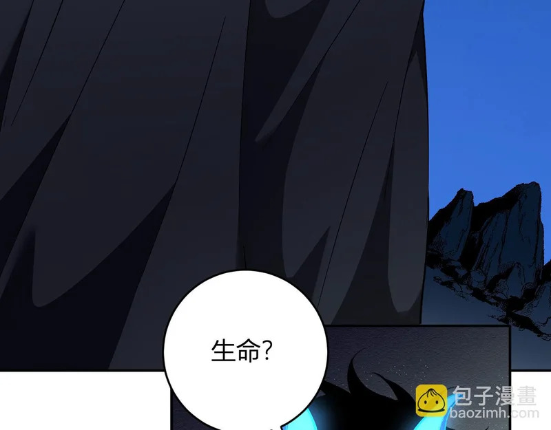 第204页