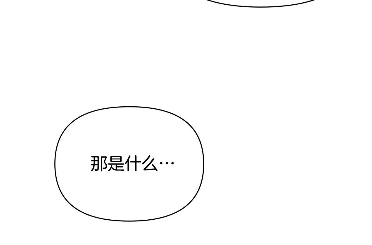 第411页