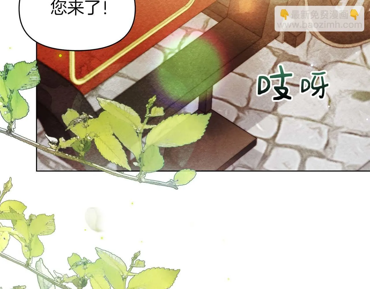 第204页