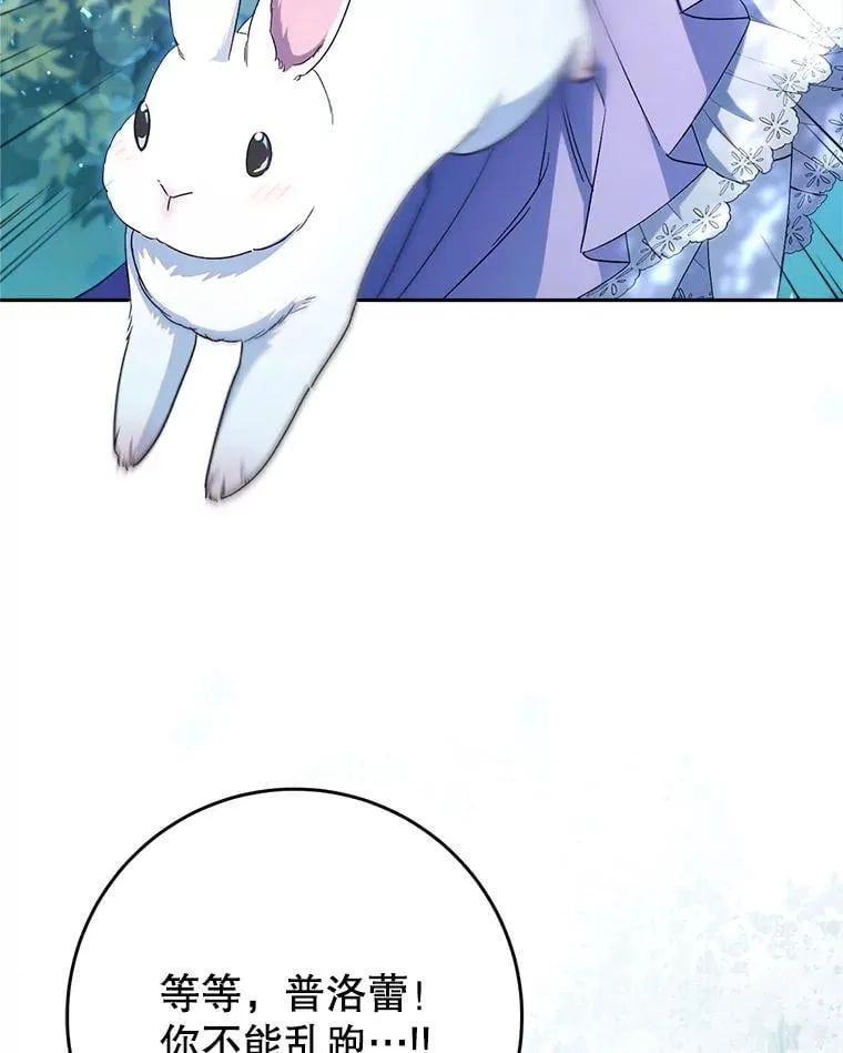 第228页