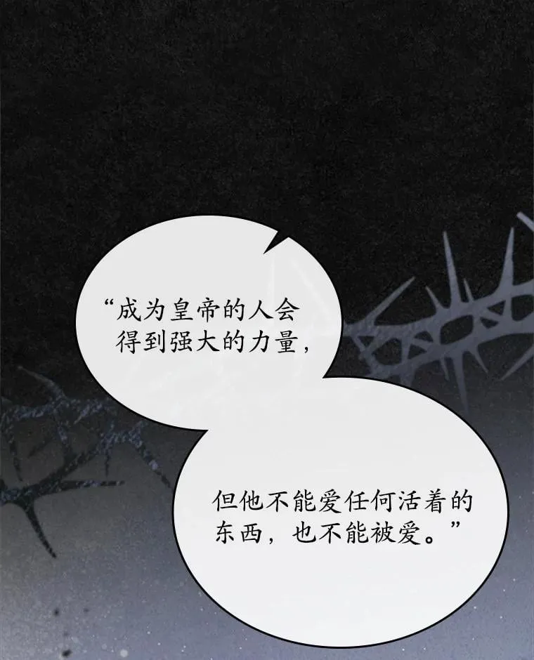 第294页