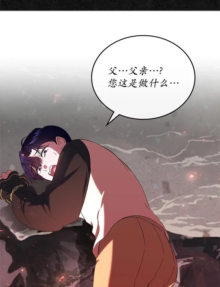 第231页