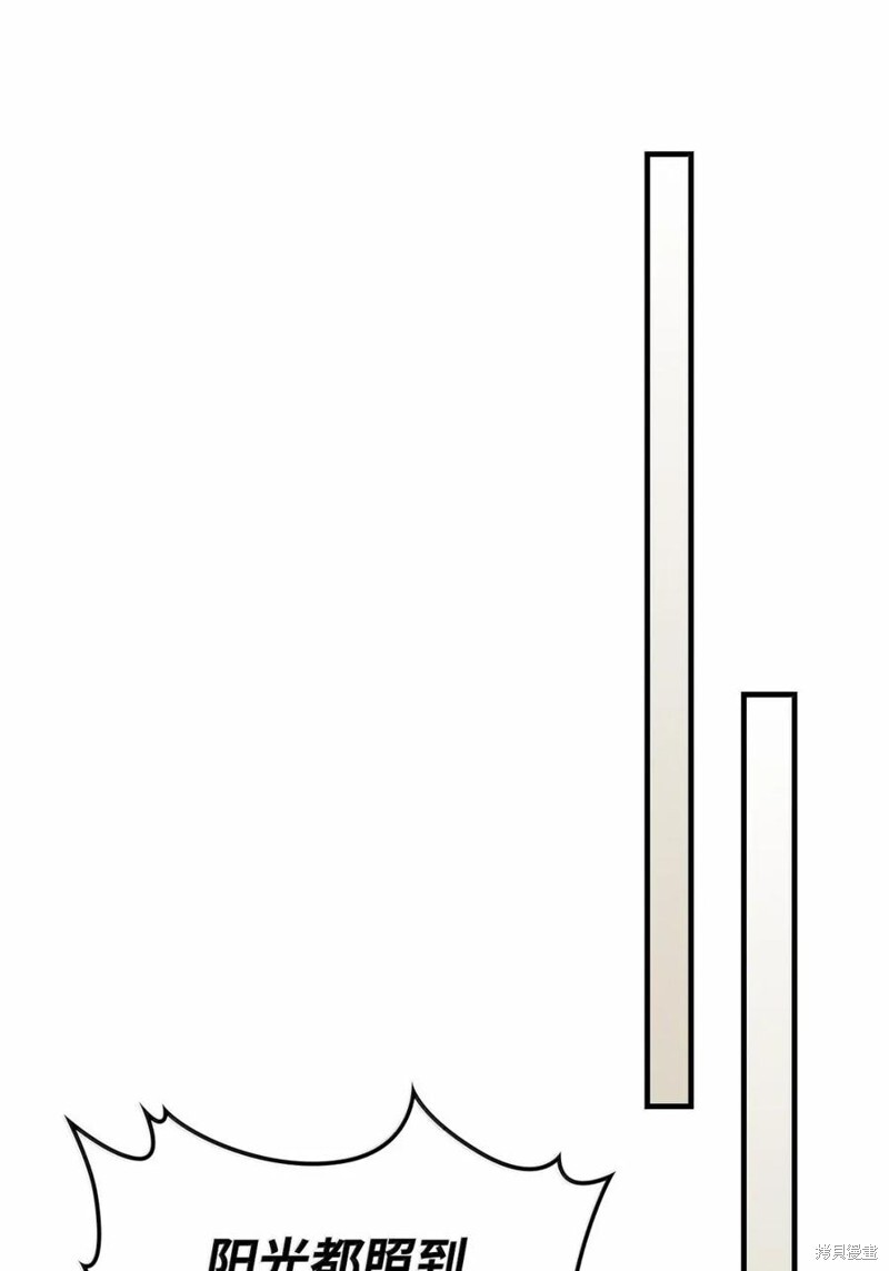 第264页