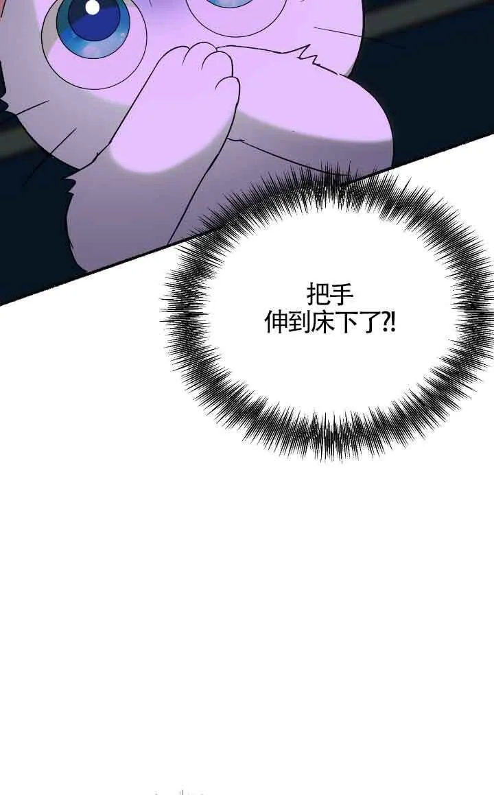 第258页
