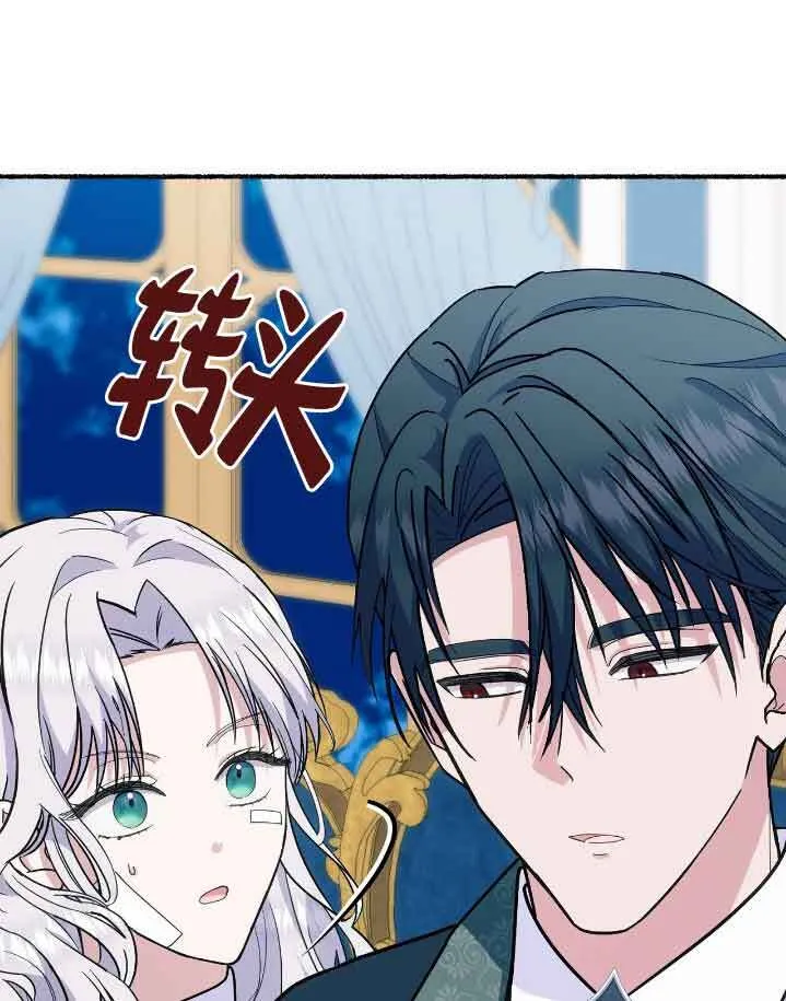 第204页