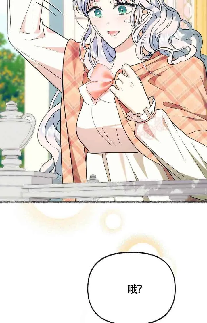 第231页