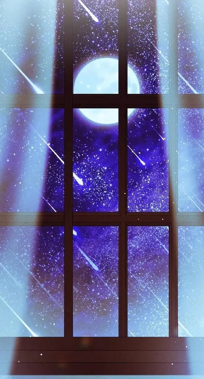 第186页