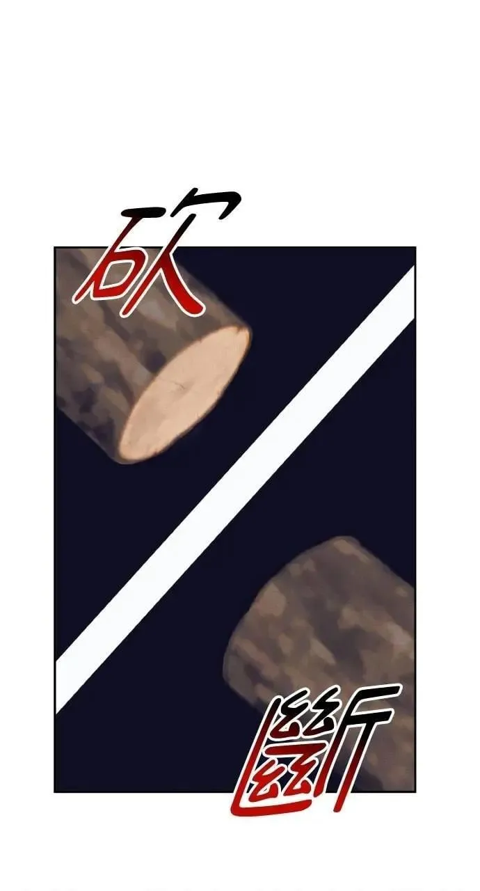 第231页