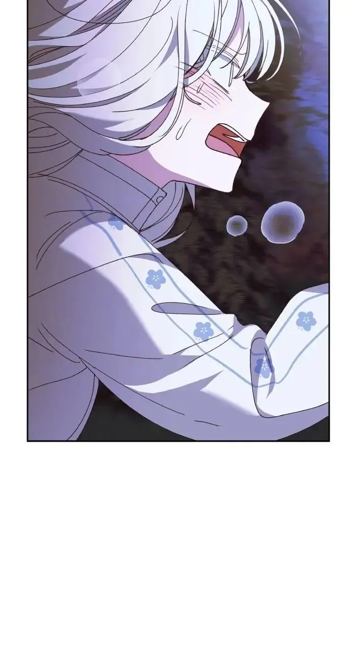 第255页