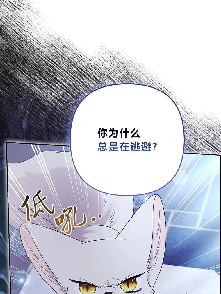 第255页