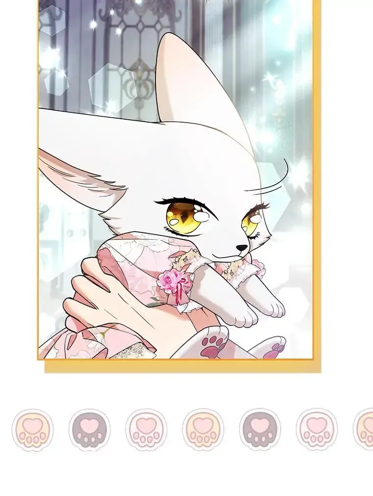 第255页