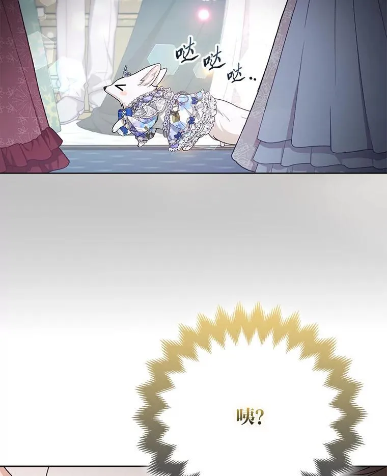 第204页
