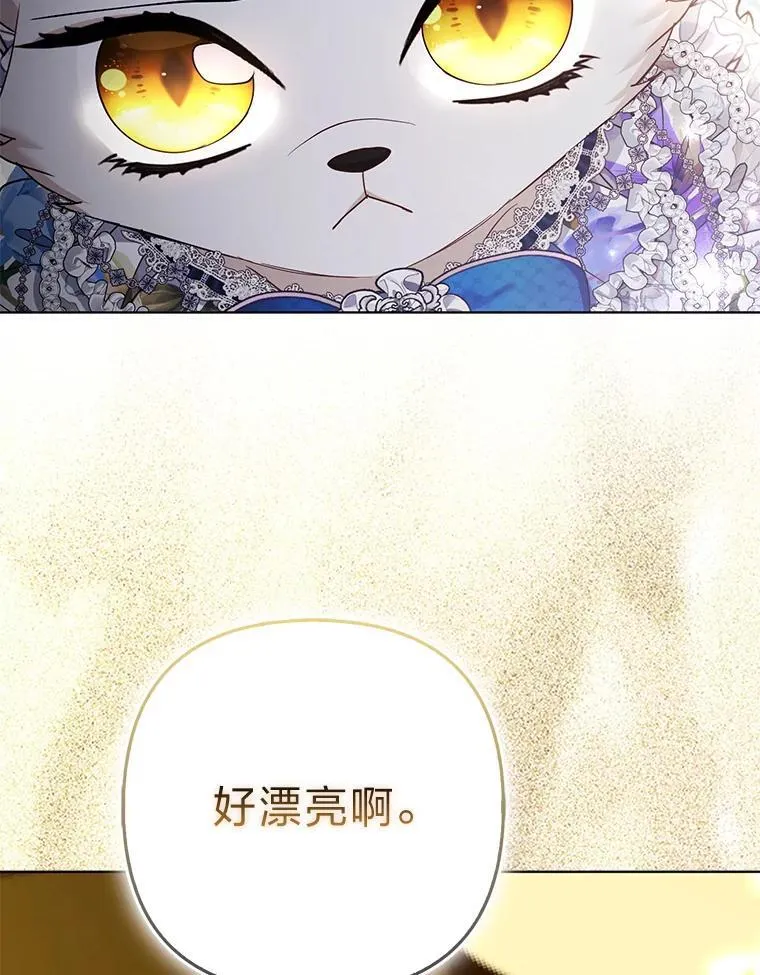 第255页