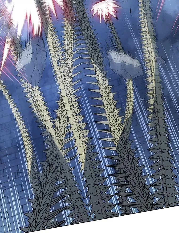 第300页