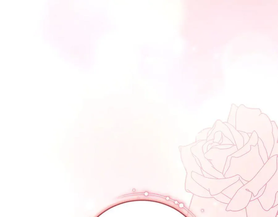 第255页