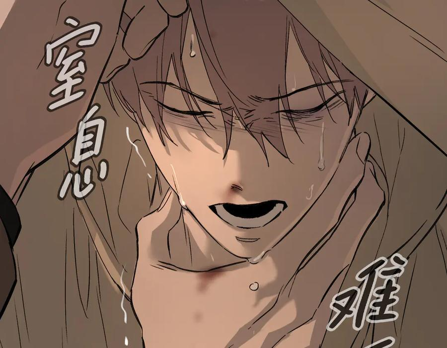 第321页