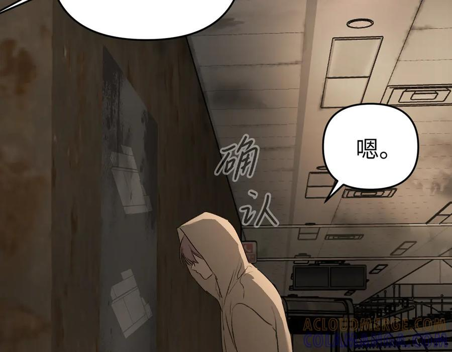 第336页