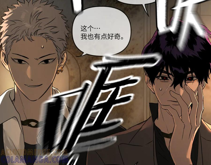 第204页