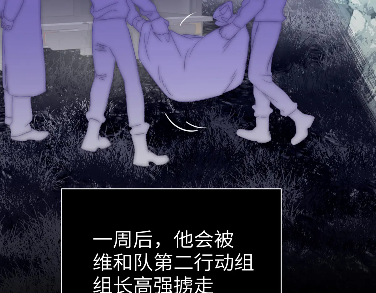 第339页