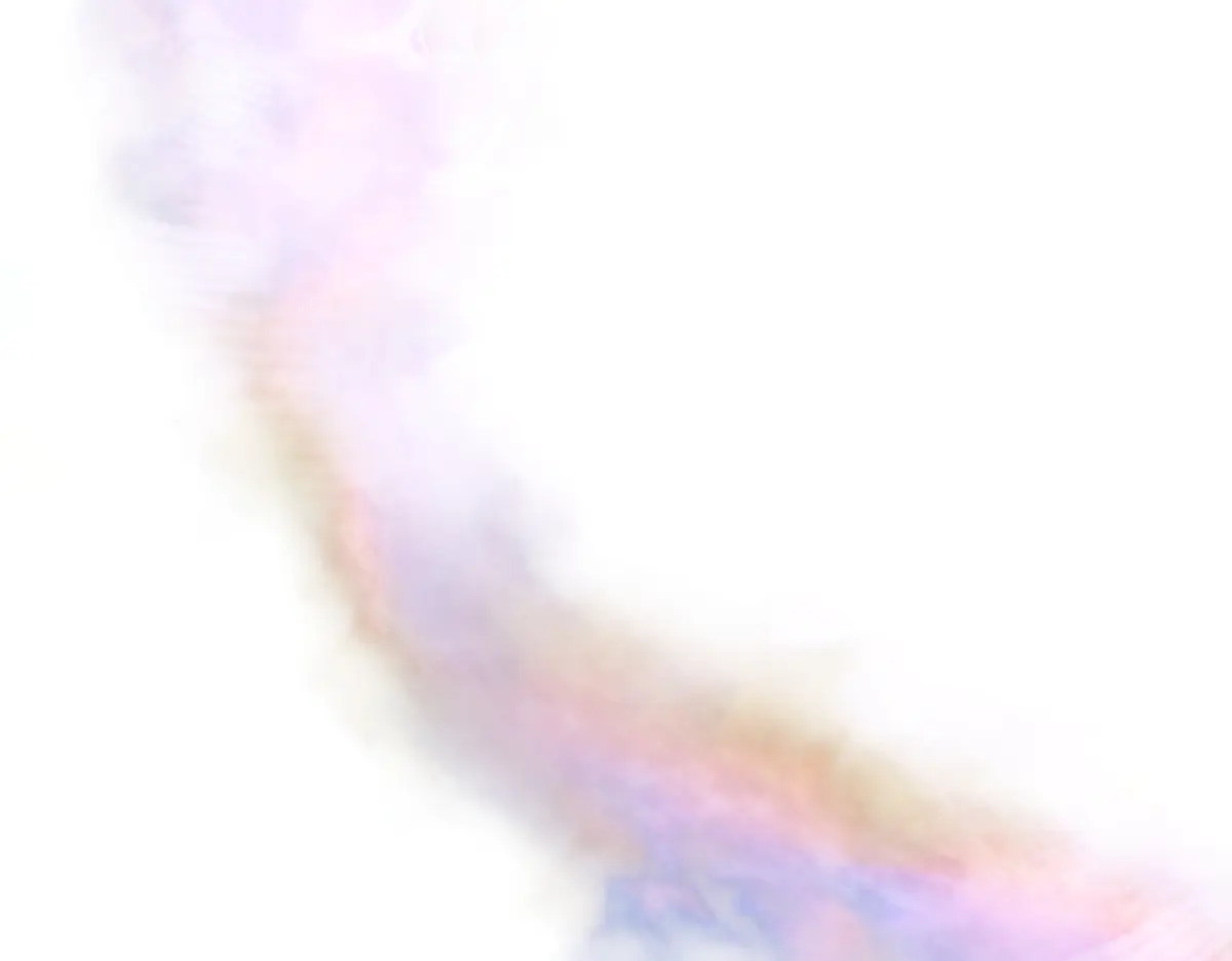 第561页