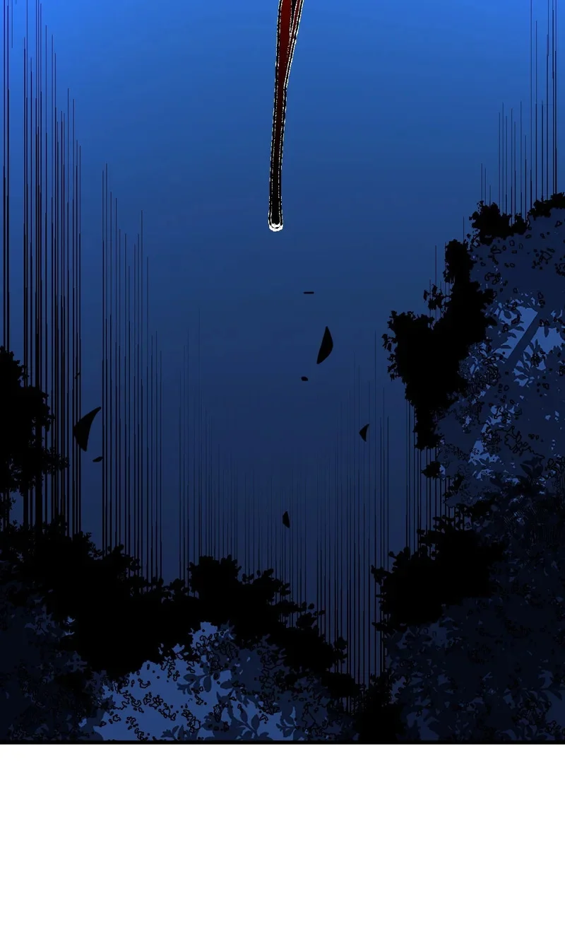 第294页