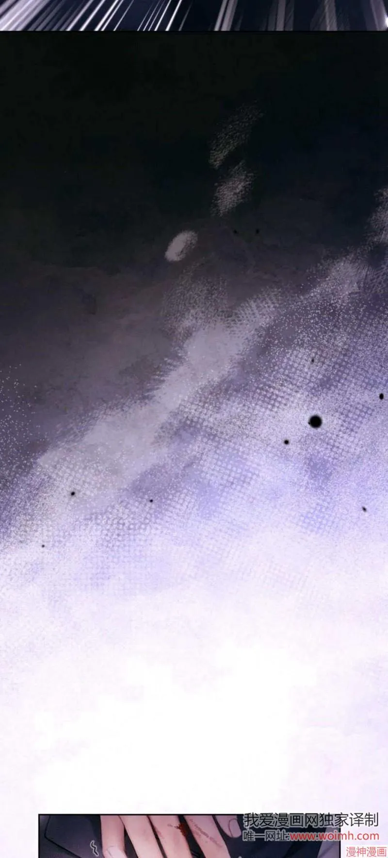 第300页