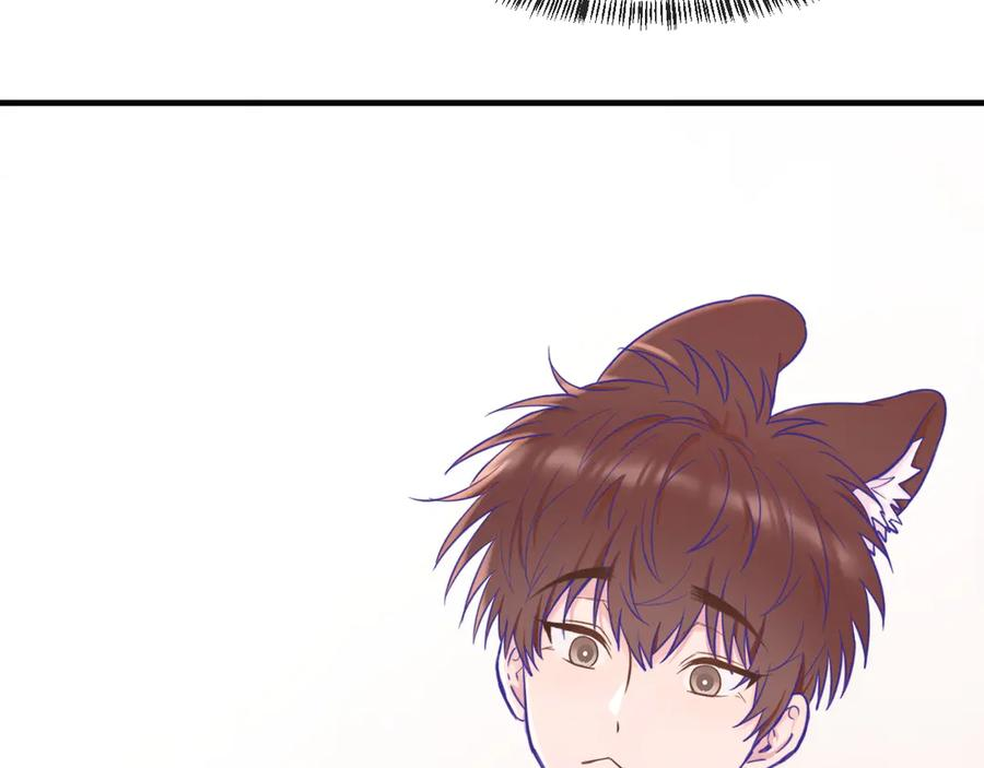 第255页