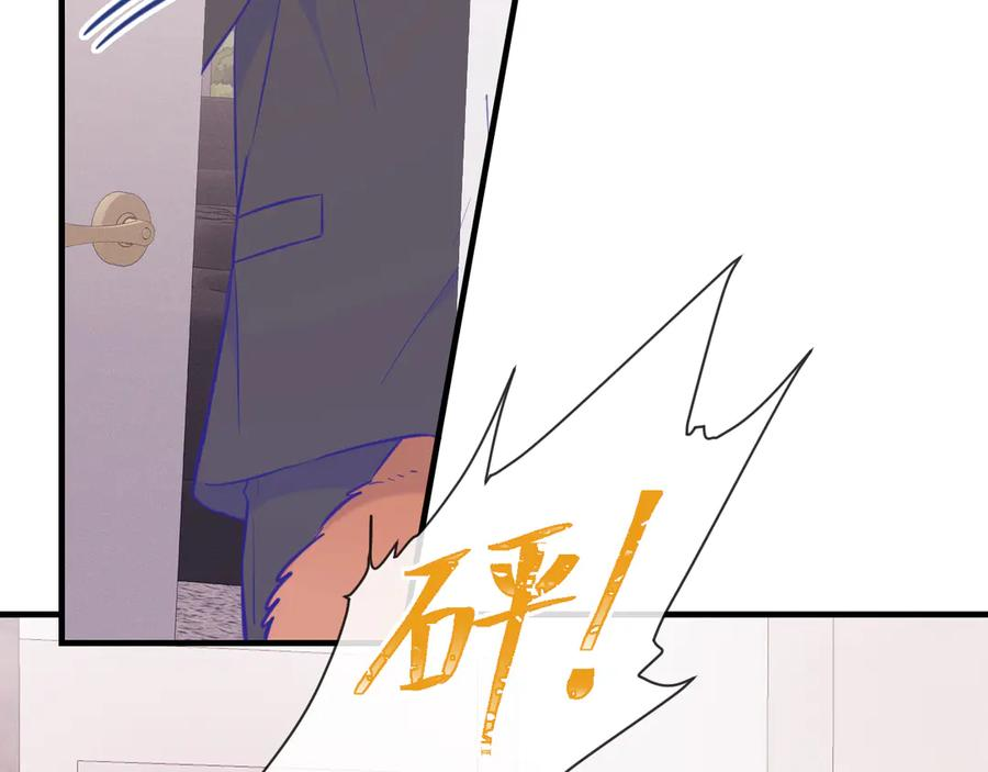 第237页