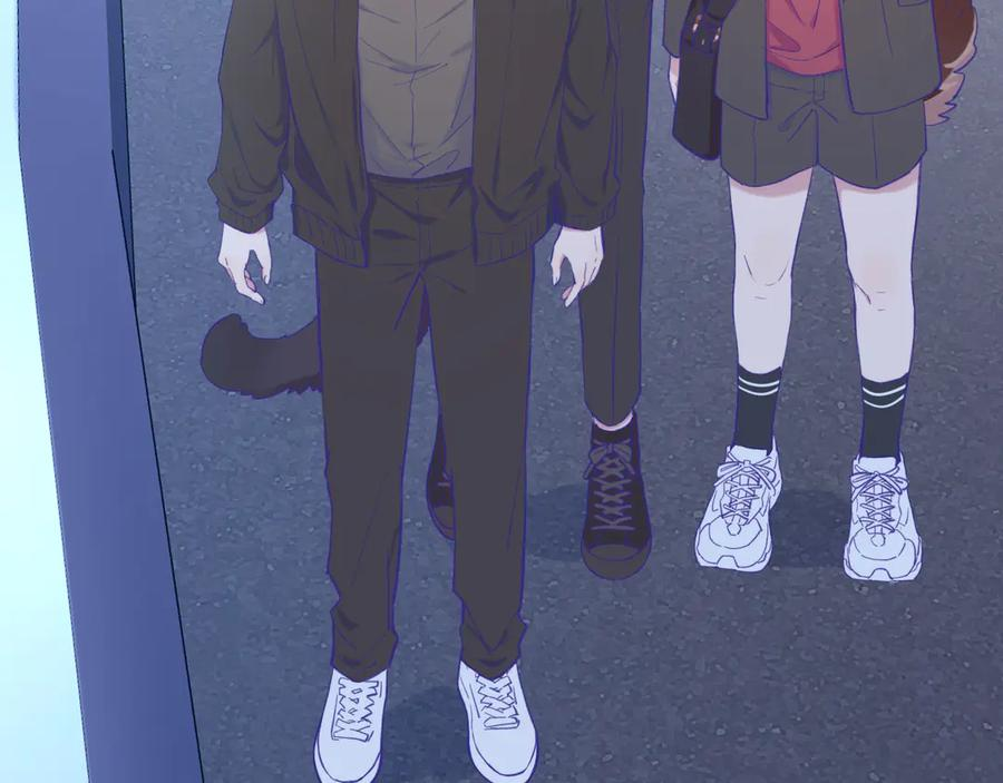 第339页