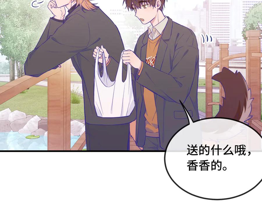 第246页