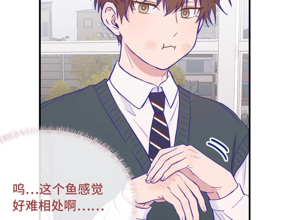 第339页