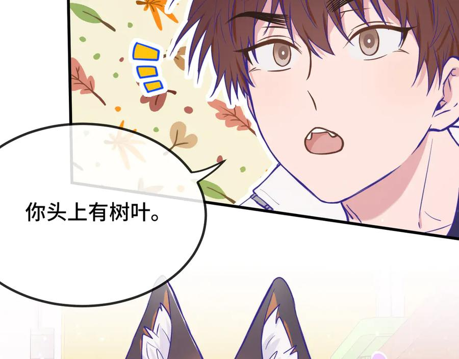 第207页
