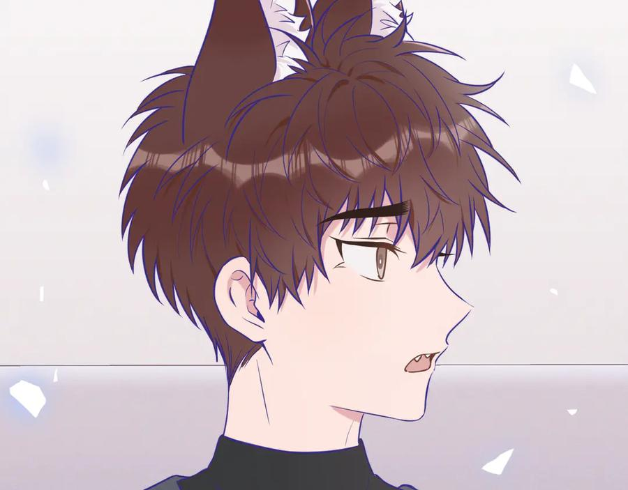 第291页