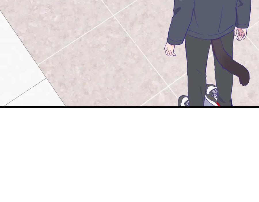 第267页