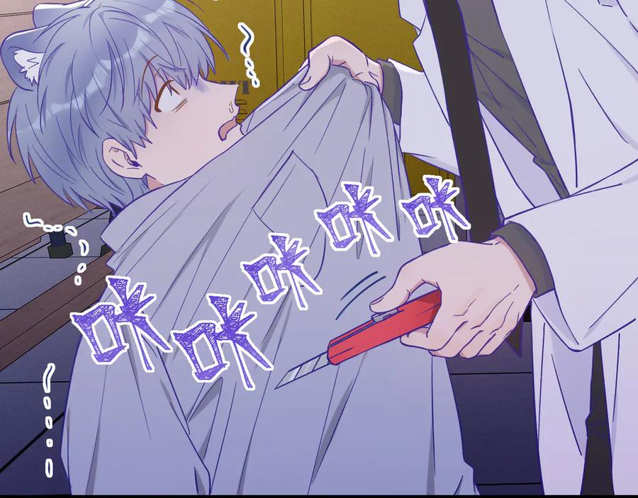 第225页