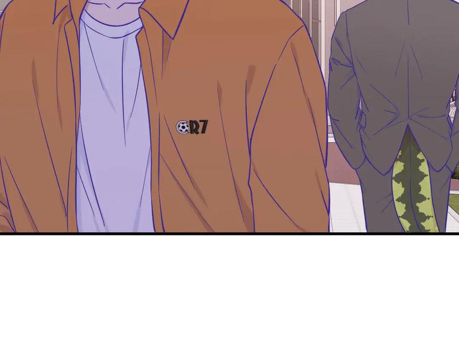 第231页