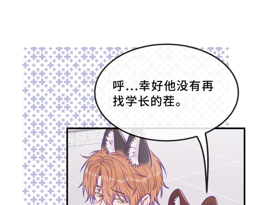 第234页