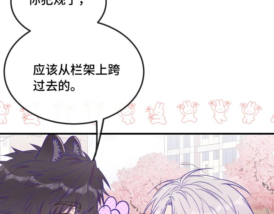 第243页