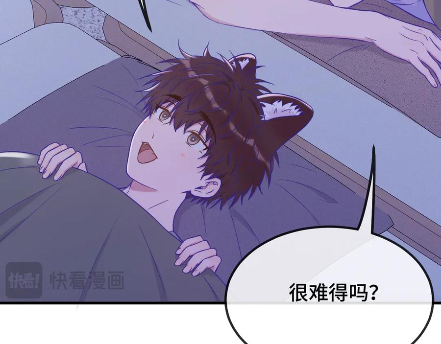 第258页