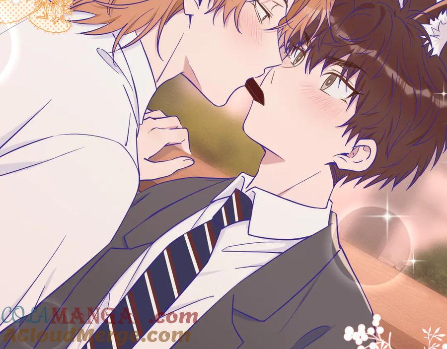 第264页