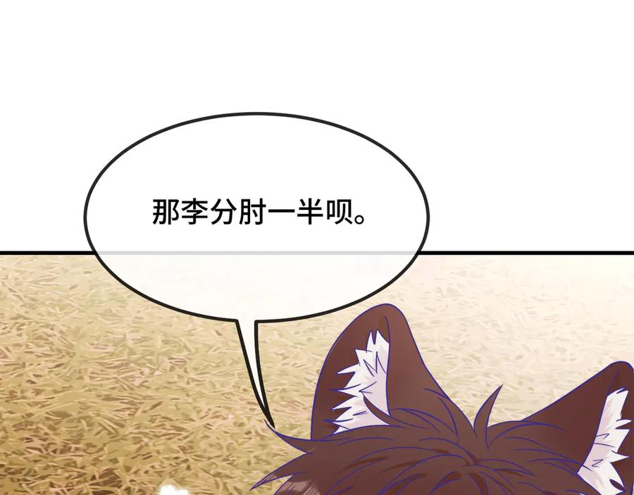 第243页