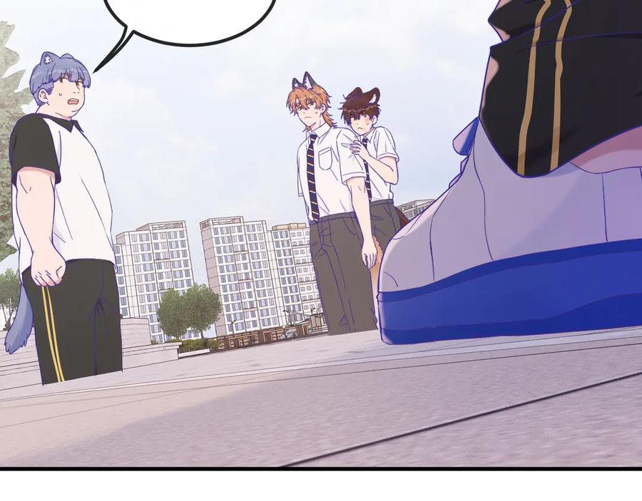 第267页