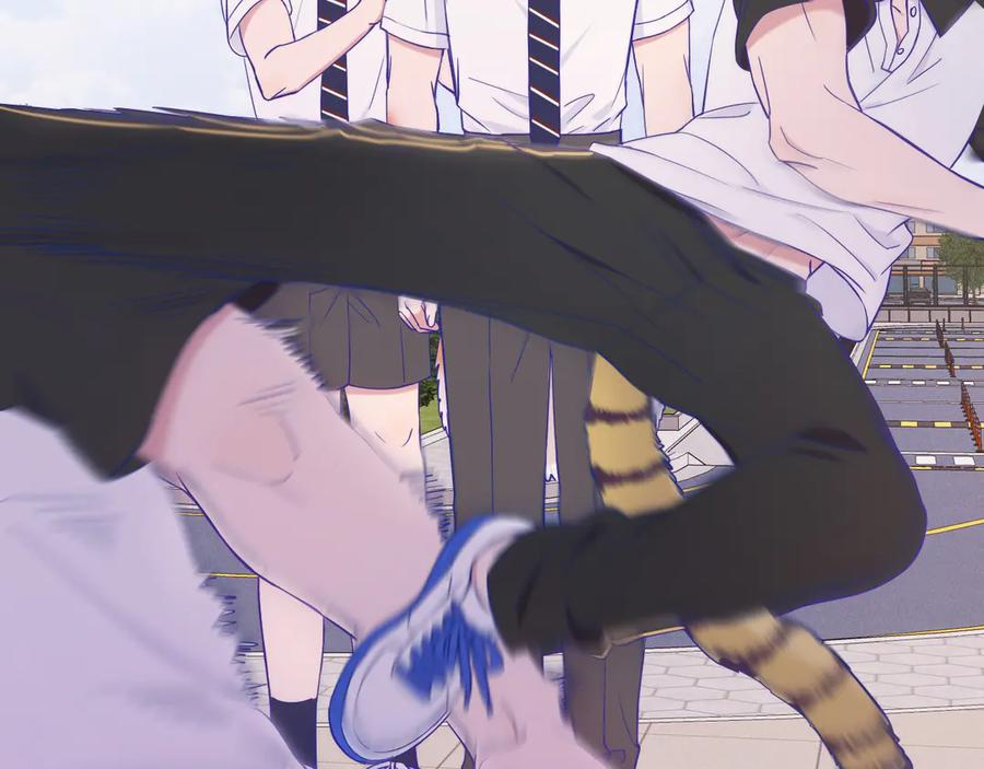 第294页