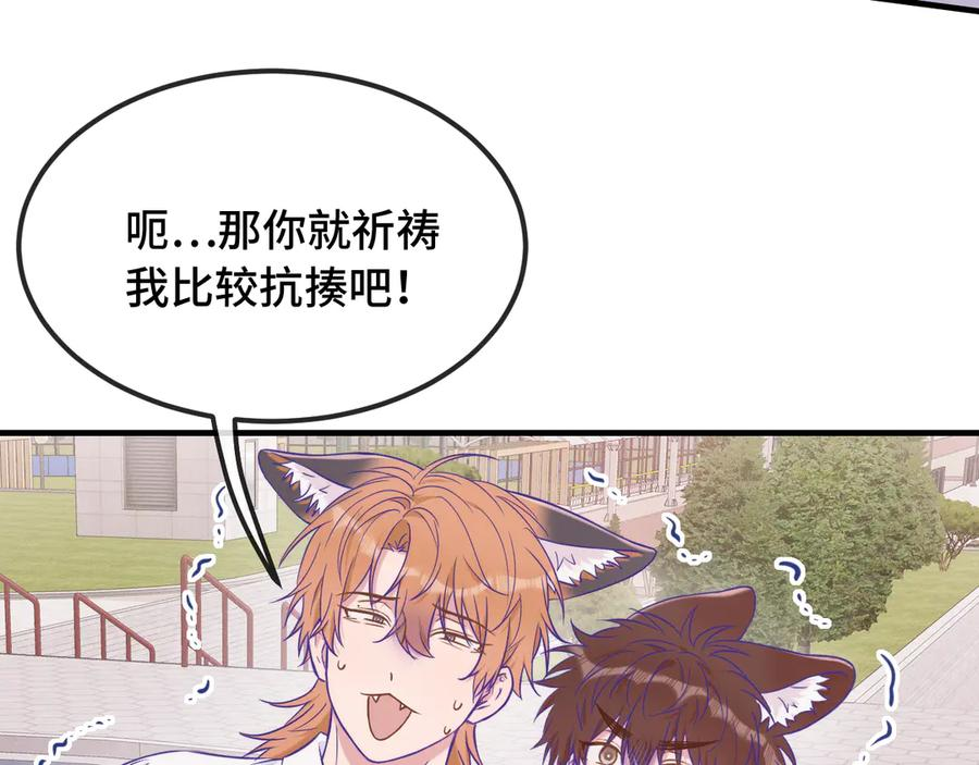 第258页
