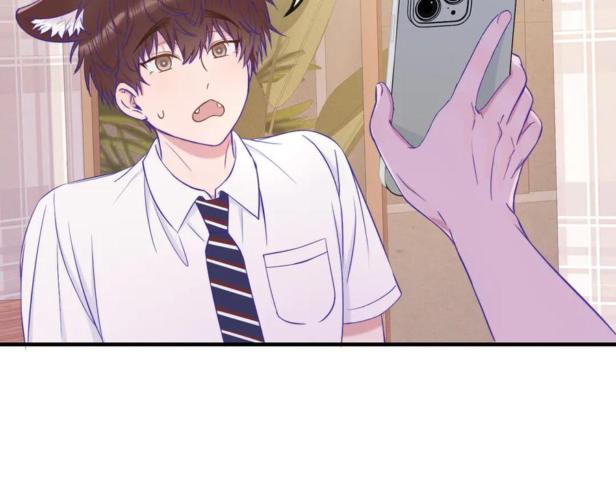 第255页