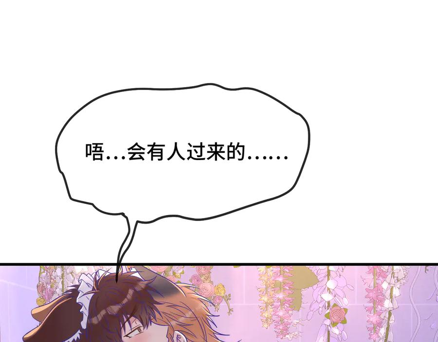 第282页