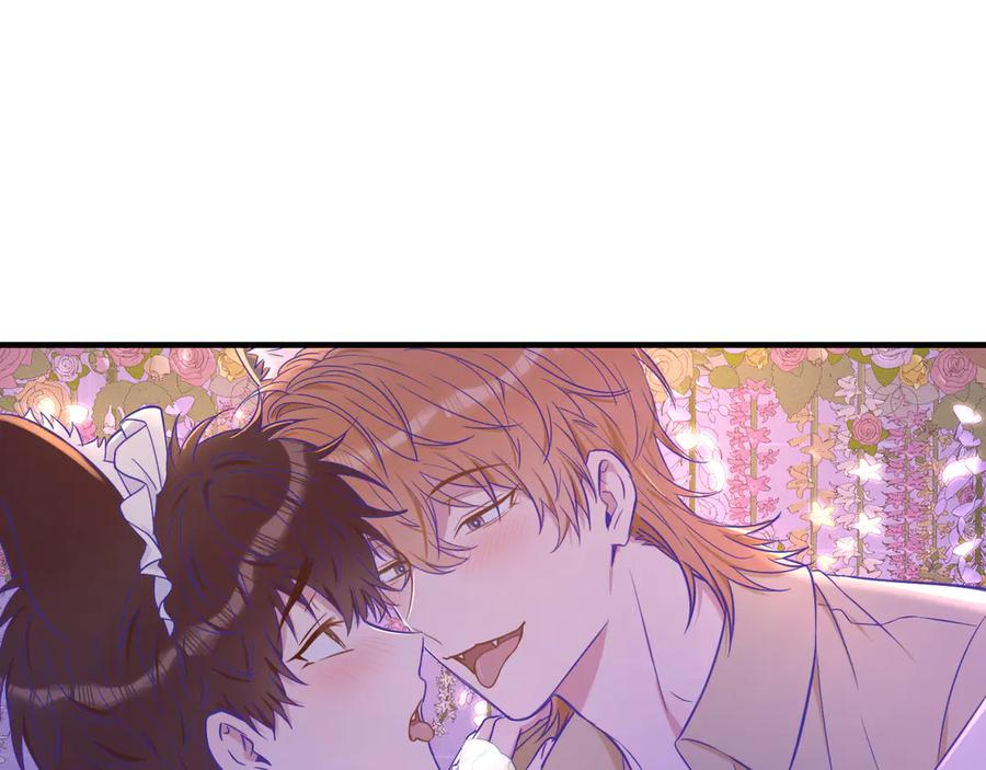 第231页