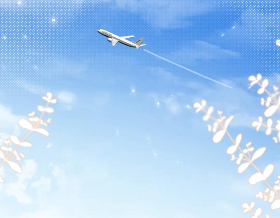 第339页