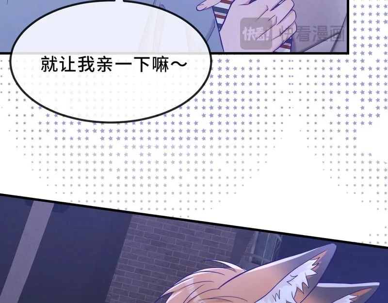 第204页