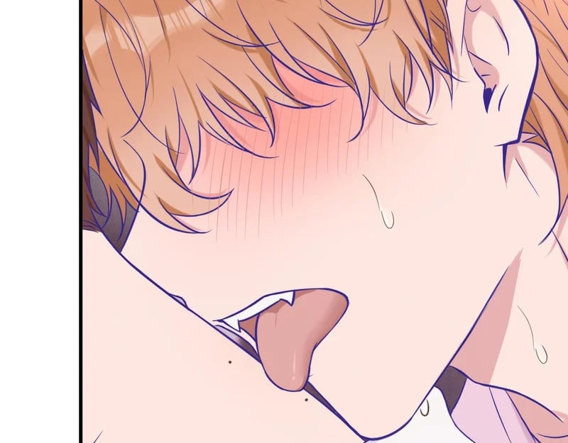 第279页